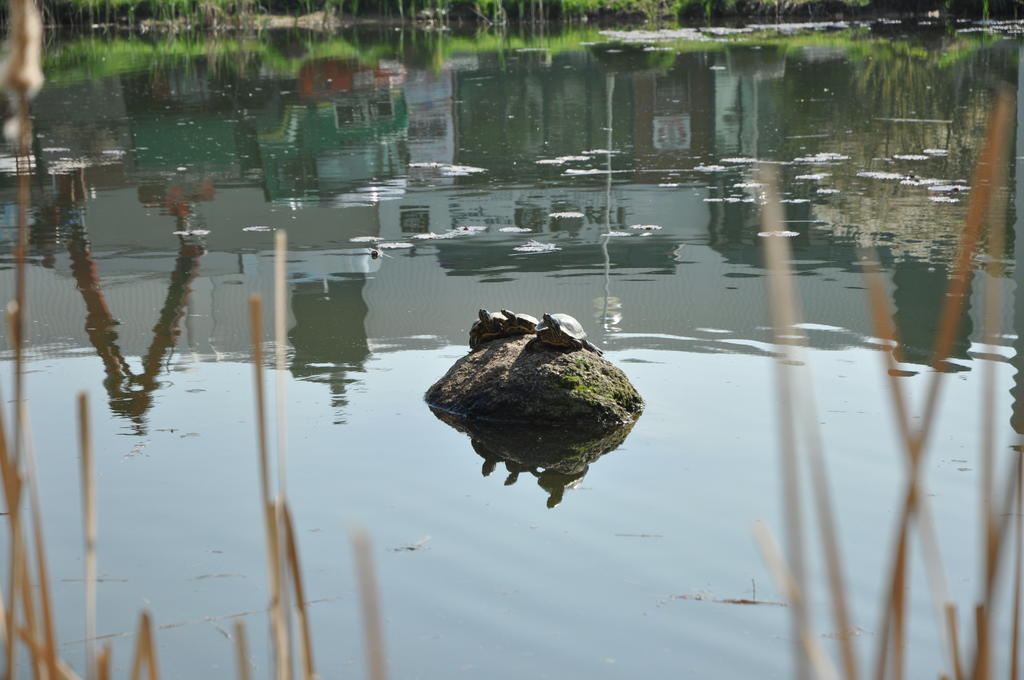 Hotel Achat Im Park Ratisbona